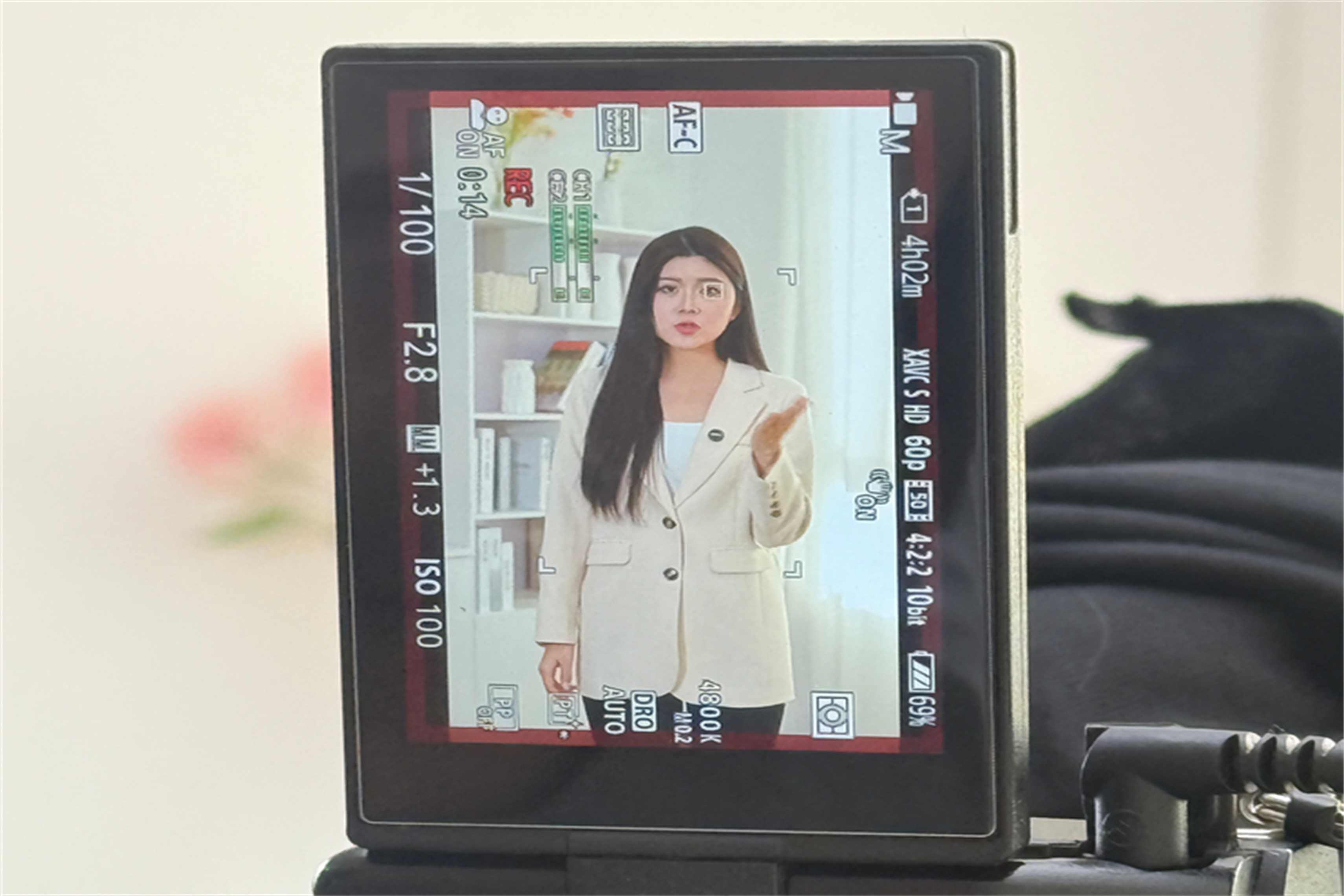 天兴健文化体育发展有限公司帝比特加盟信息流拍摄交付完成